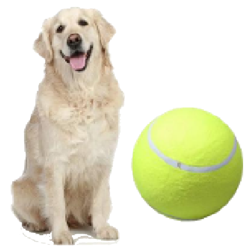 RAWRR Pet Tennis Ball