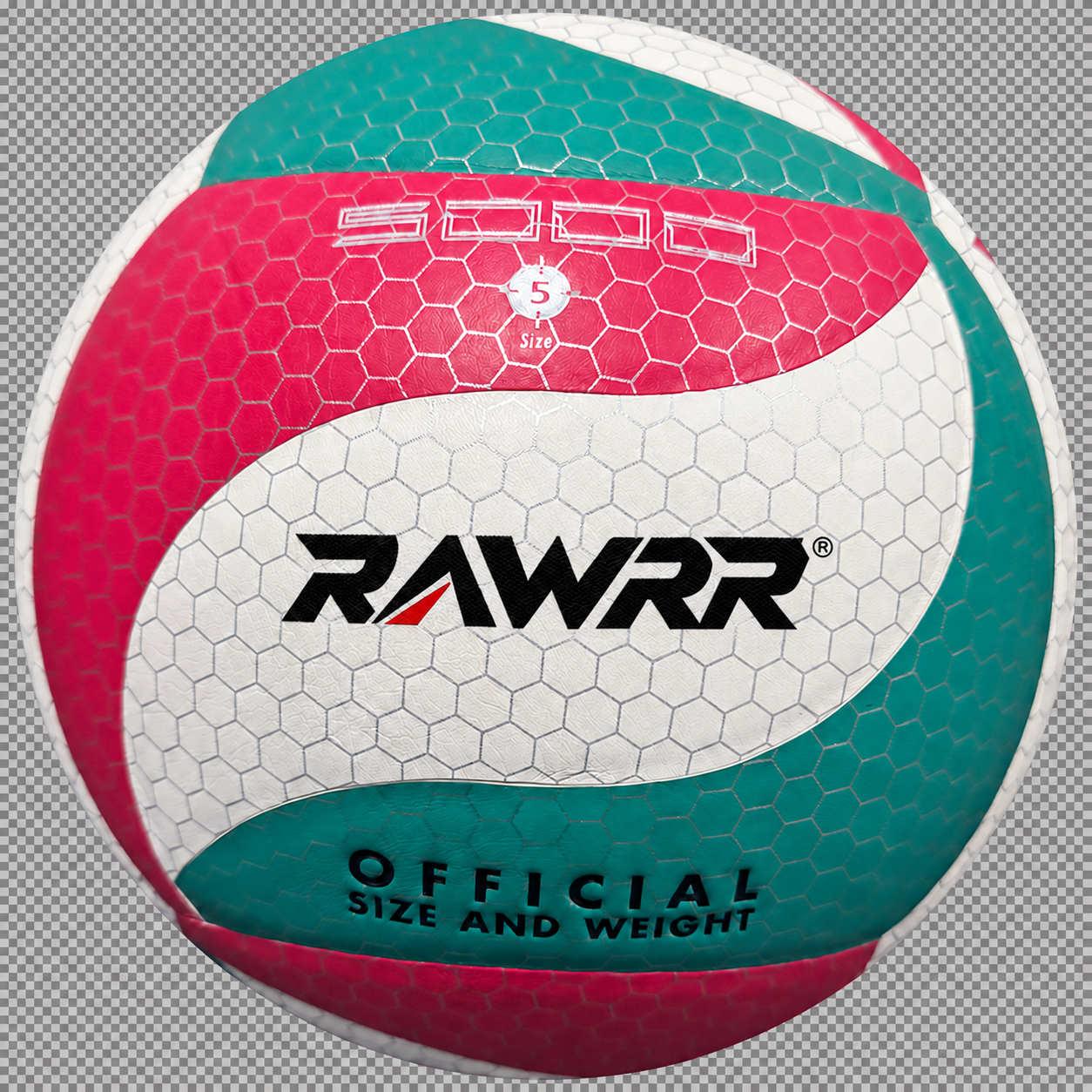 RAWRR Volleyball