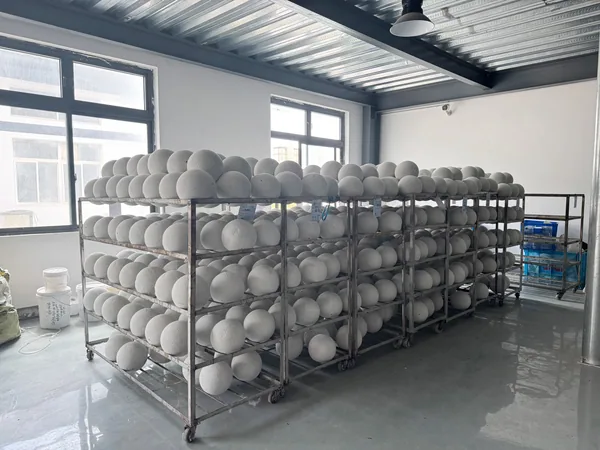 Carcass inspection racks