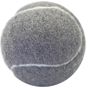 EV-TEN-001
