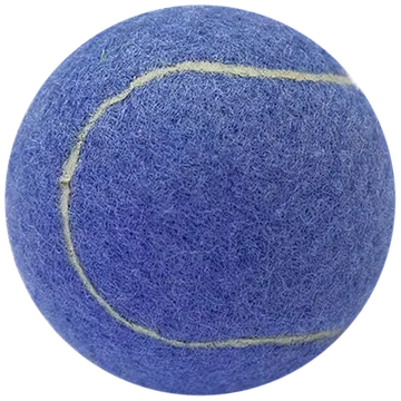 EV-TEN-008