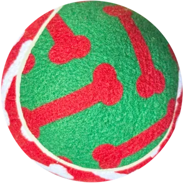EV-TEN-016
